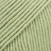 26 Pistacia uni colour