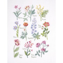 Broderi-kit - Botanical Sampler- DMC