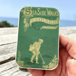 Tin �ske - Stor - Firefly Notes