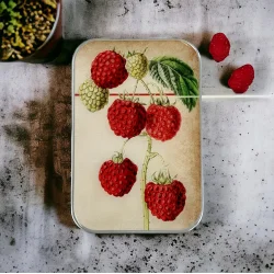 Tin ske - Stor - Firefly Notes