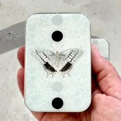 Tin ske - Stor - Firefly Notes