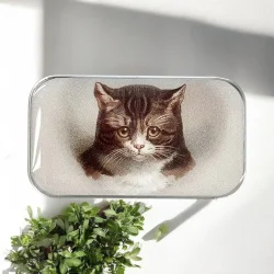 Tin ske - Lille - Firefly Notes