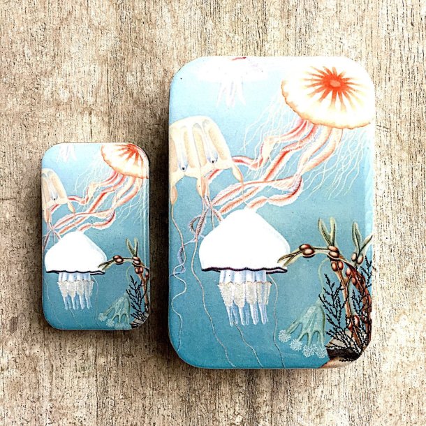 Tin ske - Stor - Firefly Notes Jelly Fish - Stor