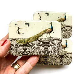 Tin �ske - Stor - Firefly Notes